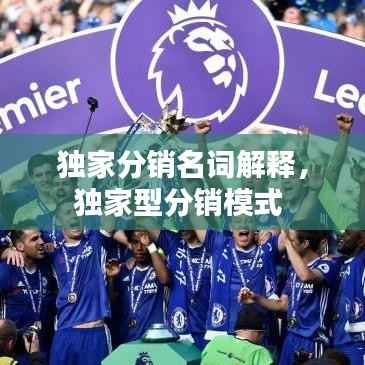 独家分销名词解释，独家型分销模式 