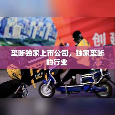 垄断独家上市公司,独家垄断的行业