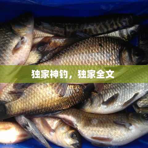 独家神钓,独家全文