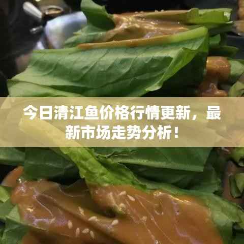 今日清江鱼价格行情更新，最新市场走势分析！